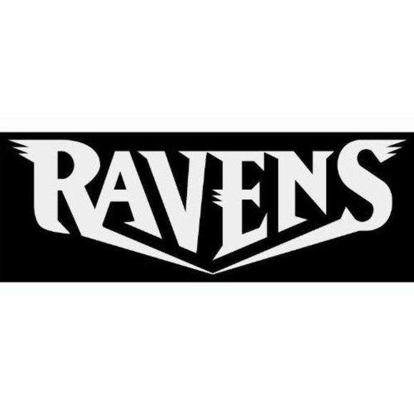 NFL Football Baltimore Ravens Logo Vinyl Decal sticker 5" - Picture 4 of 9